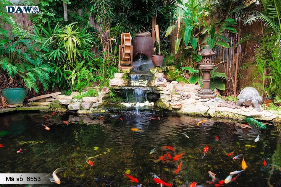 10 thiết kế hồ cá KOI đẹp