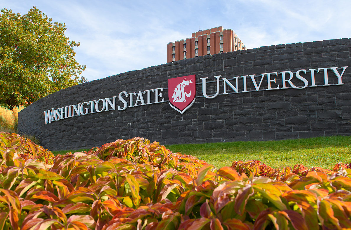 HỌC BỔNG BOOKMUNDIC, ĐẠI HỌC WASHINGTON STATE, HOA KỲ, 2019