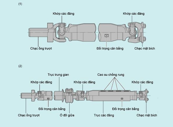 Cấu tạo của trục có 2 khớp nối và trục 3 khớp nối