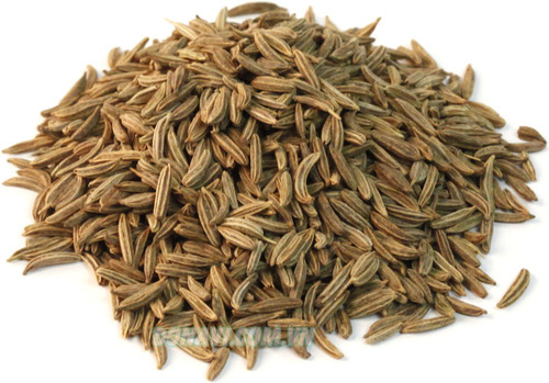 caraway whole