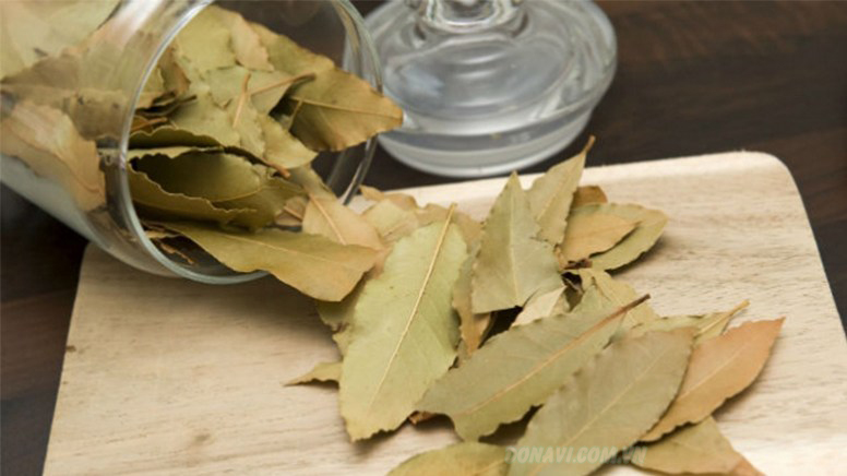 Bay leaves