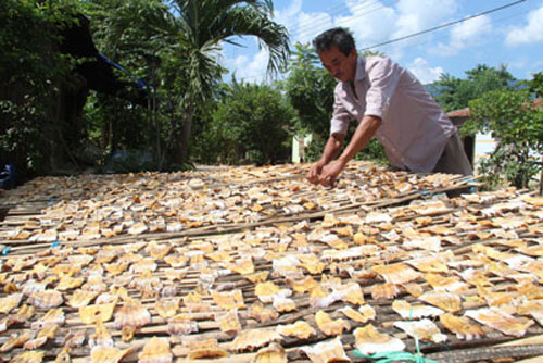 phơi măng trên giàn phơi