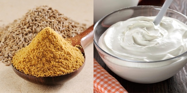 Bột thì là và sữa chua