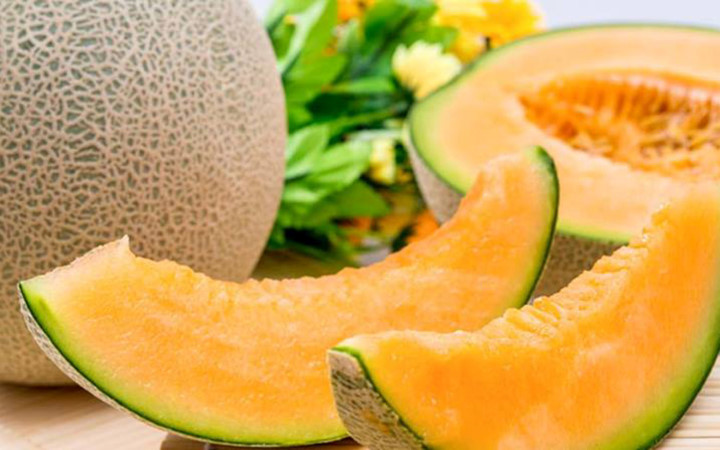 dưa lưới nhật bản