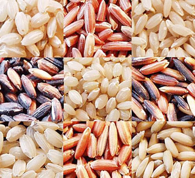 các loại gạo lứt