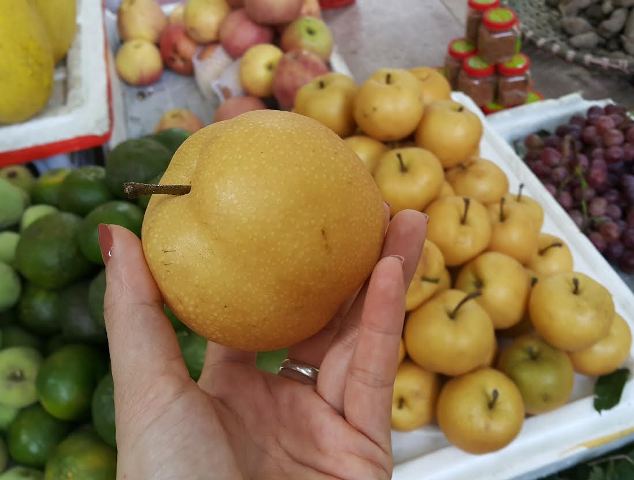 cách phân biệt mắc cọp trung quốc và mắc cọp việt nam