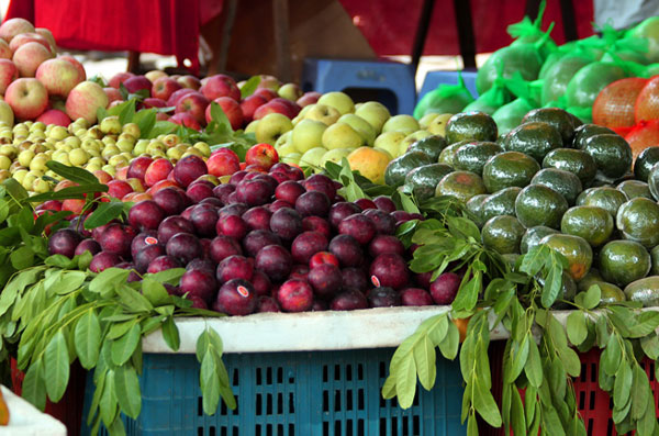mận tím trung quốc tràn vào việt nam