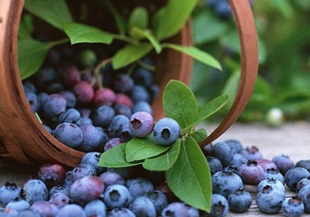 thuc-pham-dung-khi-bi-stress