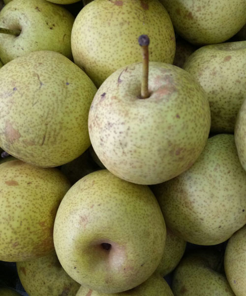 nhận biết quả lê