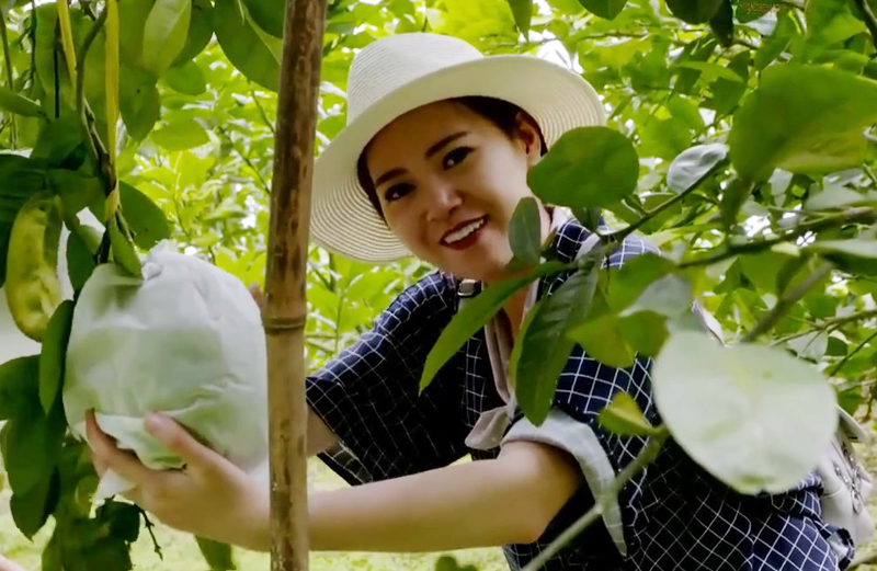 bọc bưởi da xanh