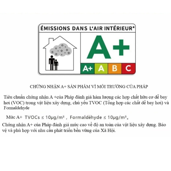 Chứng chỉ A+ Pháp