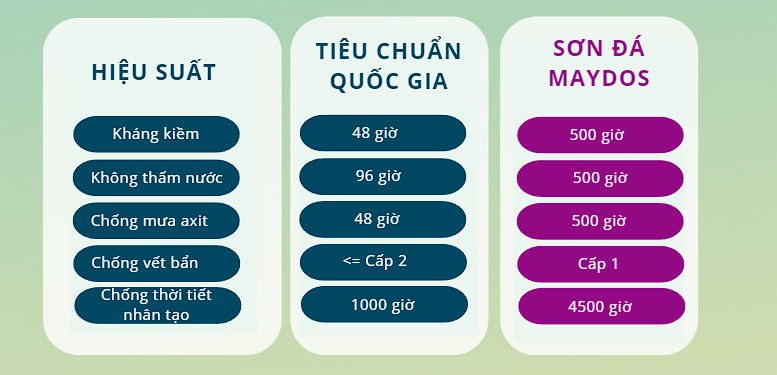 báo cáo kiểm tra