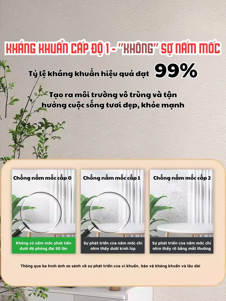 Ko sợ nấm mốc