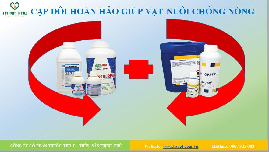 Cặp đôi hoàn hảo để chống nóng