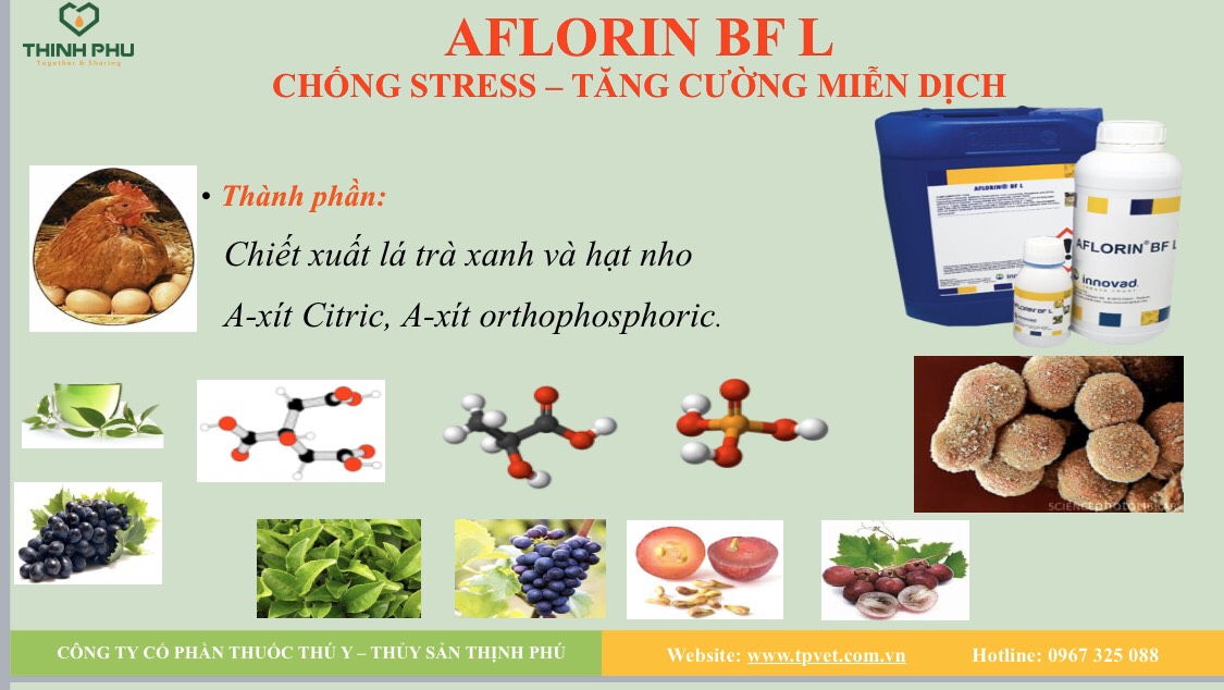 Thành phần của AFLORIN BF L