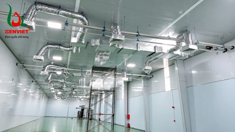 giai-phap-dieu-hoa-cong-nghiep-daikin-packaged-proshop-daikin-sen-viet-da-lua-chon-cho-nha-may-dong-goi-hat-dieu-minh-phuoc