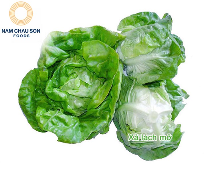 XÀ LÁCH MỠ 8 KHỎE