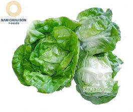 XÀ LÁCH MỠ 8 KHỎE