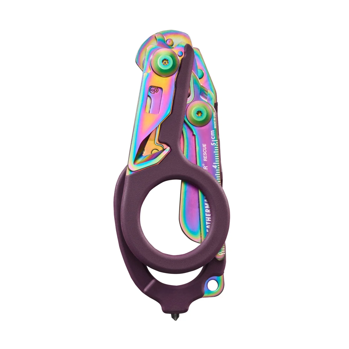 raptor_rainbow_official_2