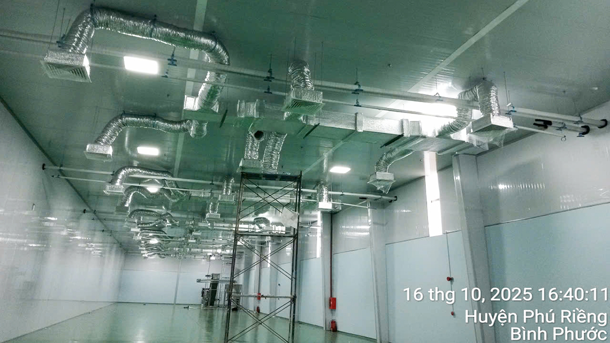 Tư Vấn, Thiết Kế, Thi Công, Lắp Điều Hòa Công Nghiệp Packaged Cho Nhà Xưởng Đóng Gói Hạt Điều Minh Phước