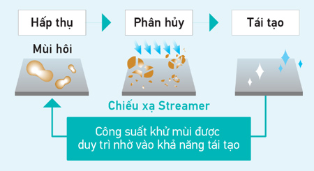 phin-loc-khu-mui-hap-thu-phan-huy-mui-hoi