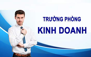 Tuyển Trưởng Phòng Kinh Doanh & Giải Pháp