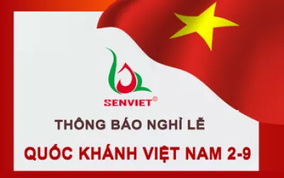Thông Báo Nghỉ Lễ Quốc Khánh 2-9-2023
