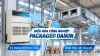 So Sánh Điều Hòa Công Nghiệp Tủ Đứng Và Nối Ống Gió Daikin