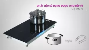 Bếp từ đôi MUTOSI MI-95D