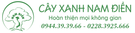 CÔNG TY TNHH CÂY XANH NAM ĐIỀN