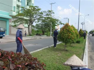 Quy trình bảo dưỡng, chăm sóc cảnh quan