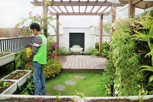 Lợi ích của việc sử dụng dịch vụ chăm sóc sân vườn định kỳ