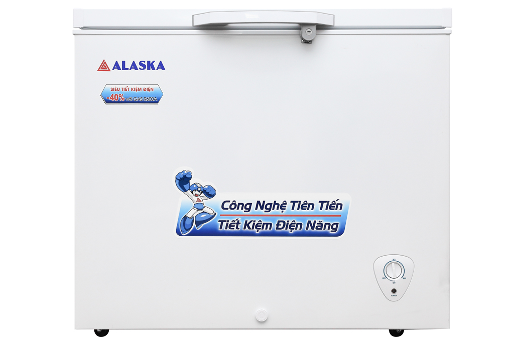 Tủ đông Alaska BD-300 (Mẫu mới)