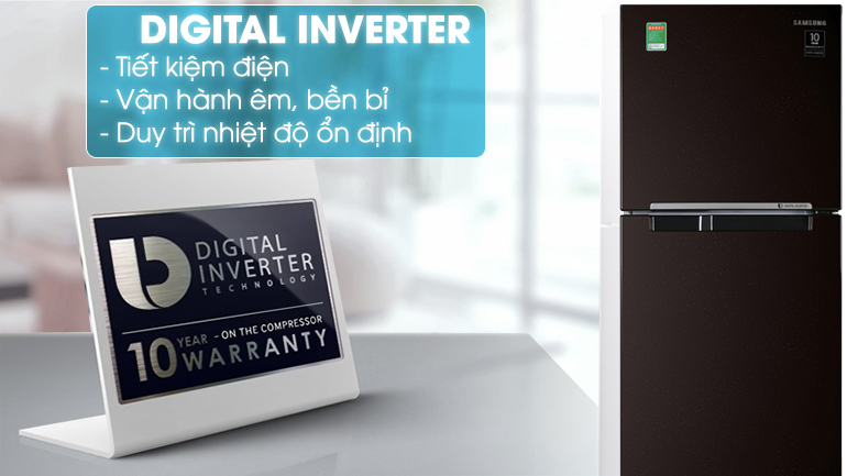 Tủ lạnh Samsung Inverter 236 lít RT22M4032BY/SV