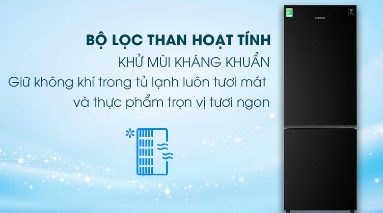 Tủ lạnh Samsung Inverter 310 lít RB30N4010BU/SV