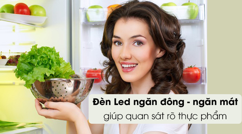 Tủ lạnh Toshiba  GR-AG66VA (X)