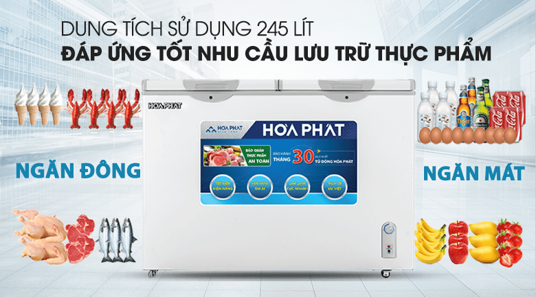 Tủ đông Hòa Phát 245 lít HCF 606S2Đ2