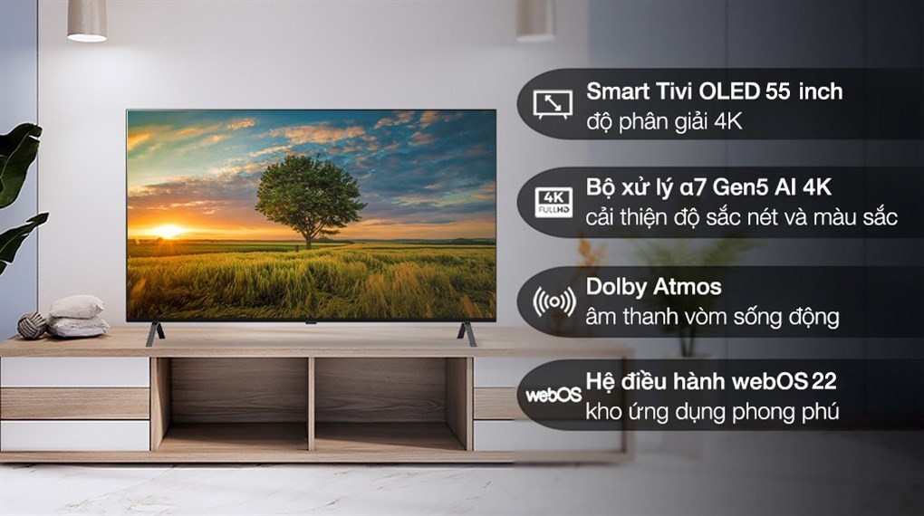 Smart Tivi OLED LG 4K 55 inch 55A2PSA