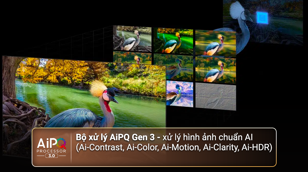 Google Tivi QLED TCL 4K 43 inch 43QC645