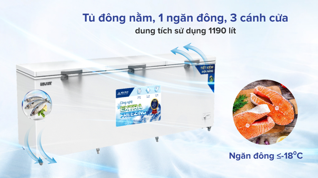 Tủ đông Hòa Phát HPF AD61190 1190 lít