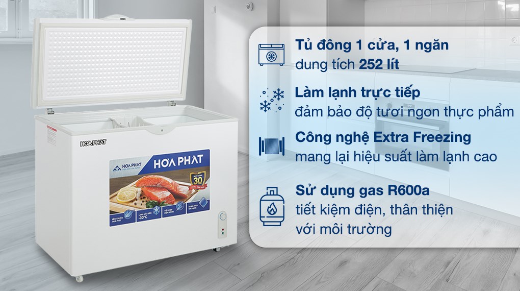 Tủ đông Hòa Phát 252 lít HPF AN6252