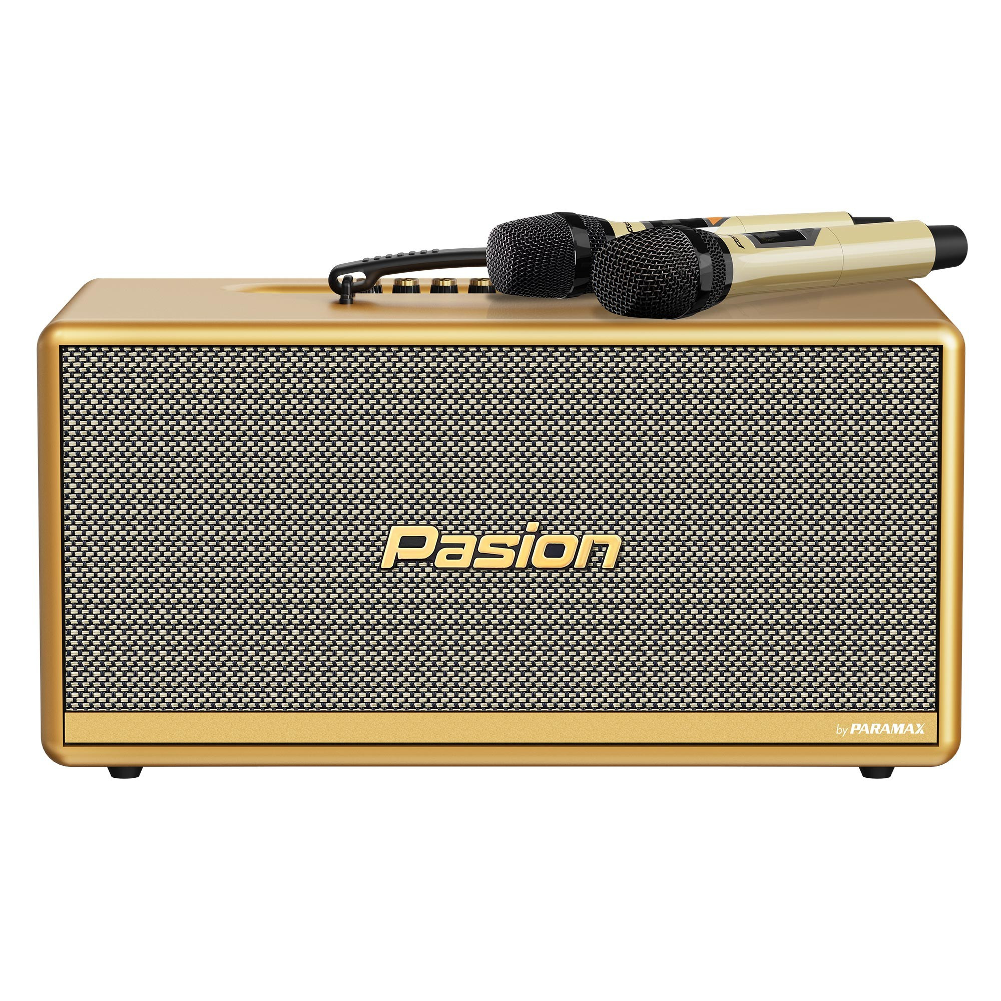 Loa Di Động Xách Tay PASION 2c