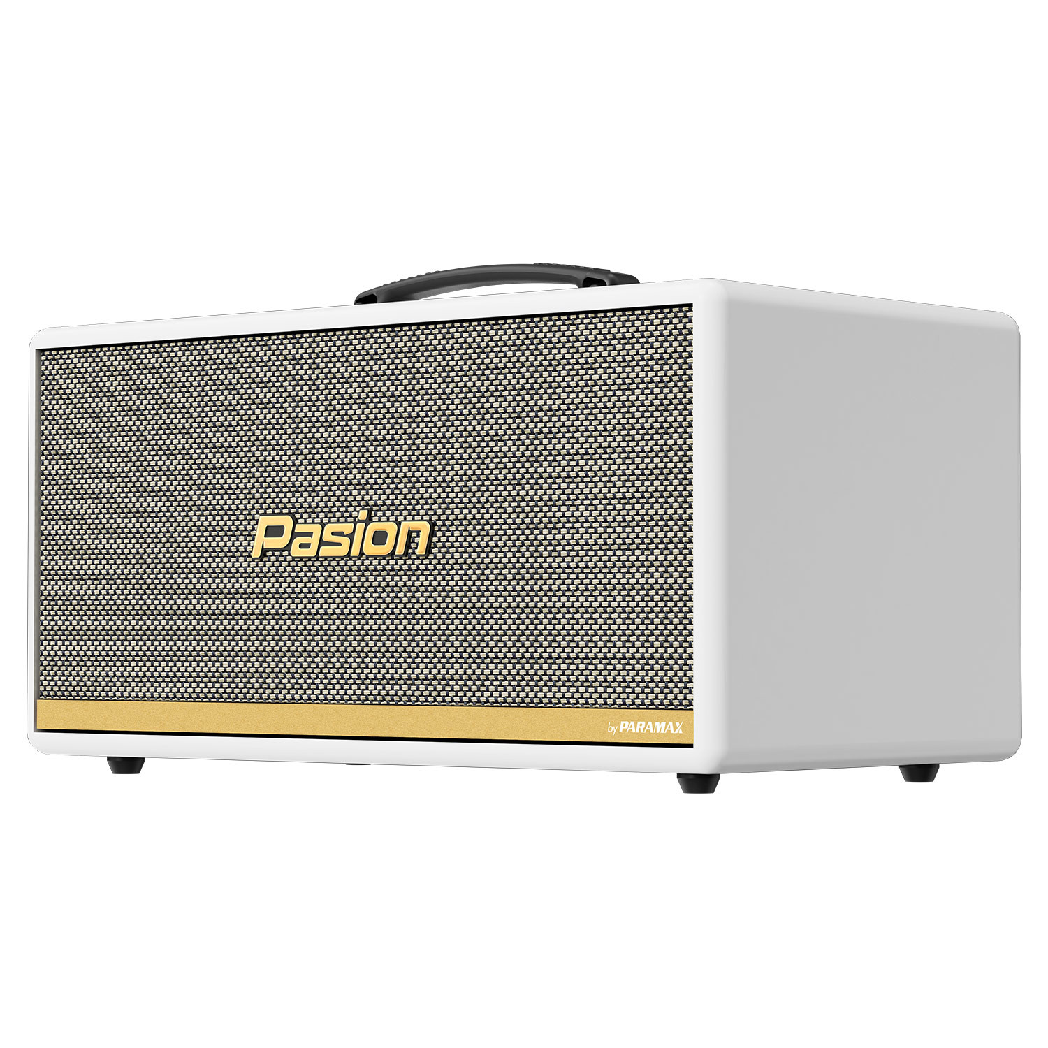Loa Di Động Xách Tay PASION 2c