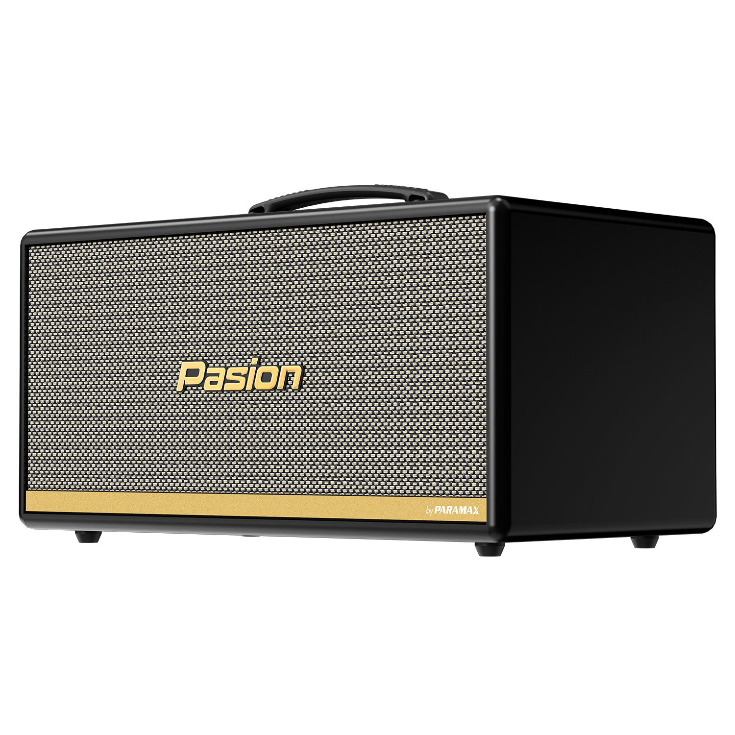 Loa Di Động Xách Tay PASION 2c