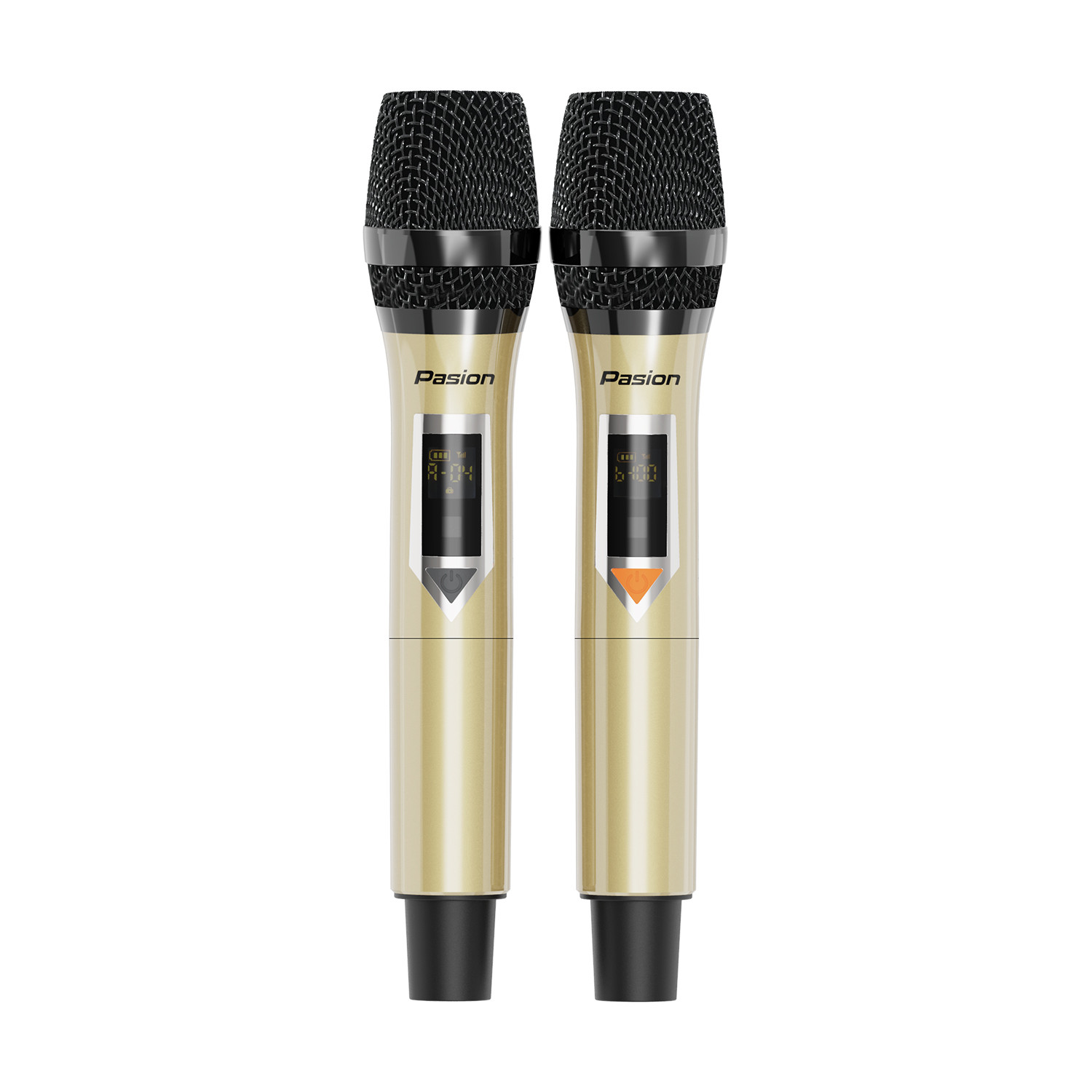 Loa Di Động Xách Tay PASION 2c