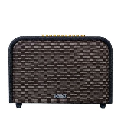 ACNOS ACOUSTIC 3 ( kèm 2 míc)