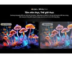 Google Tivi Coocaa 4K 55 inch 55Y73