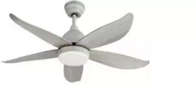 Quạt Trần TMS-8805-GMB