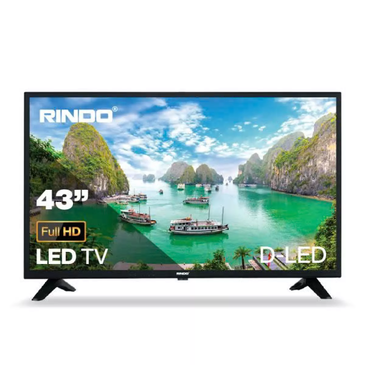 Google Tivi RINDO Full HD 43 inch R-43GF