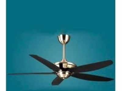 Quạt trần TCL 5 cánh TCL56-YN08(CU) 50W màu đồng